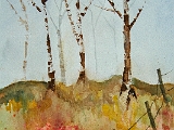 Watercolour